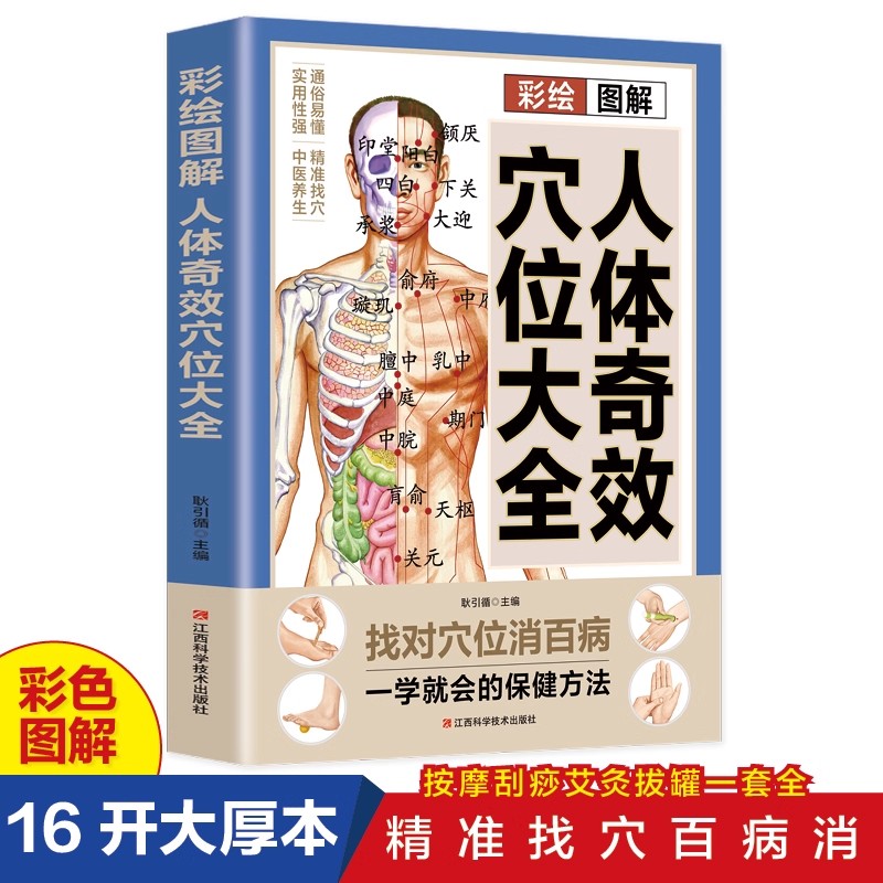 Complete Guide to Acupoint Mas - Health & Wellness Fee recension och pris